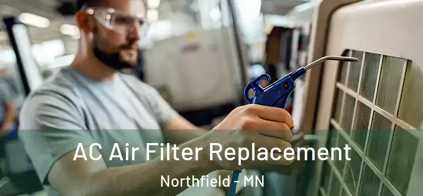 AC Air Filter Replacement Northfield - MN