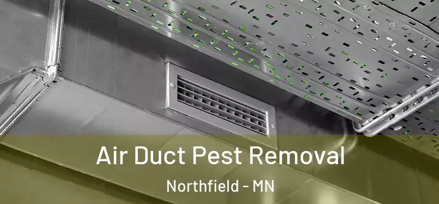  Air Duct Pest Removal Northfield - MN