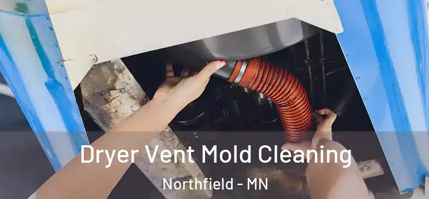 Dryer Vent Mold Cleaning Northfield - MN