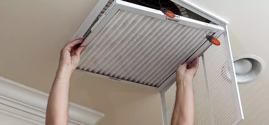 Preventive Cockroach-Proofing for Ducts in Northfield
