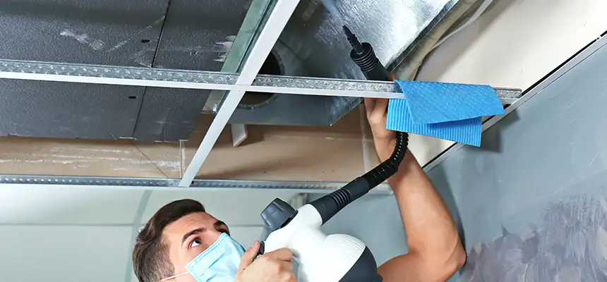 Our Air Duct Rodent Removal Services in Northfield, MN