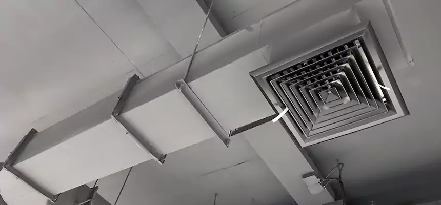 Our Pest Removal From Ducts Services in Northfield, MN