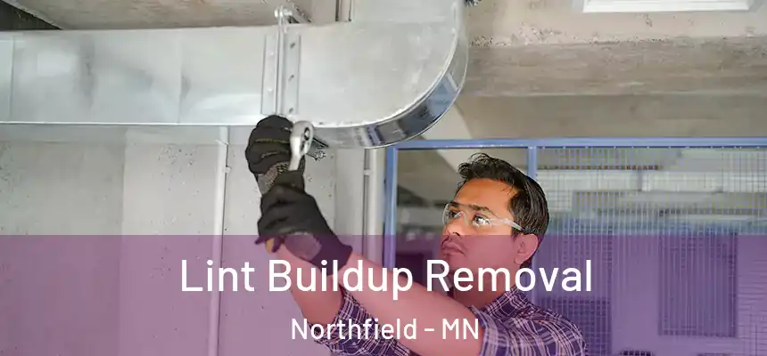 Lint Buildup Removal Northfield - MN