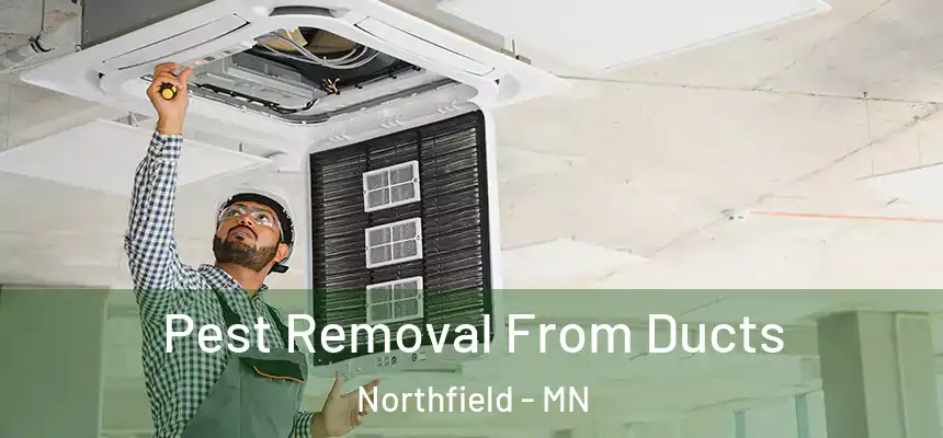 Pest Removal From Ducts Northfield - MN