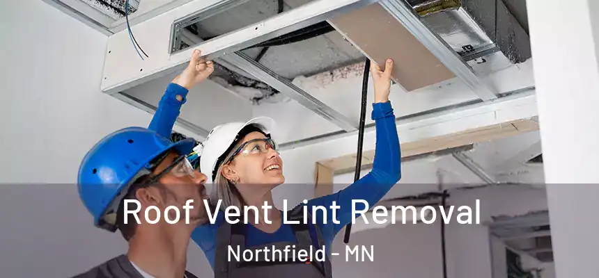 Roof Vent Lint Removal Northfield - MN