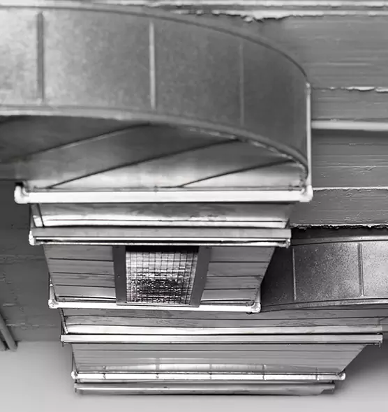 Professional Air Duct Pest Removal in Northfield, MN