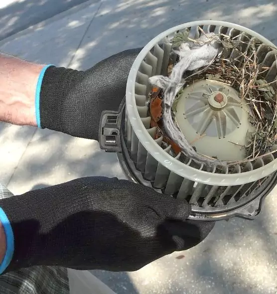 About Air Duct Rat Removal in Northfield, MN