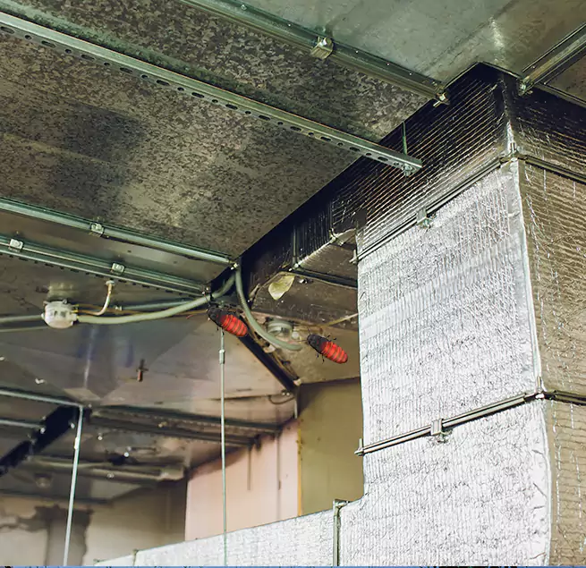 Why Homeowners & Businesses Trust Us in Northfield, MN?