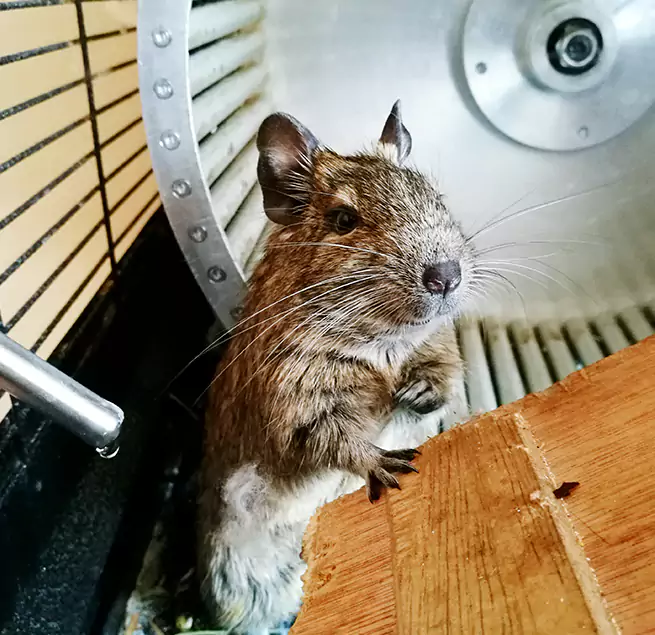 Why Homeowners & Businesses Trust Us Northfield, MN?