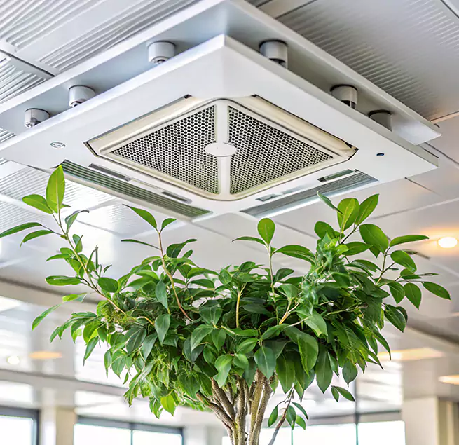 Why Homeowners & Businesses Trust Us in Northfield, MN?